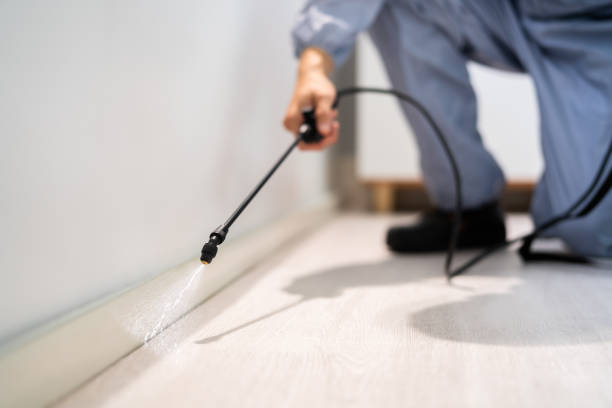 Licensed Mosquito Control service in Dublin, PA - Show Me Pest Control
