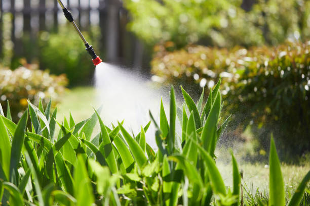 24/7 Emergency Mosquito Control experts in Dublin, PA