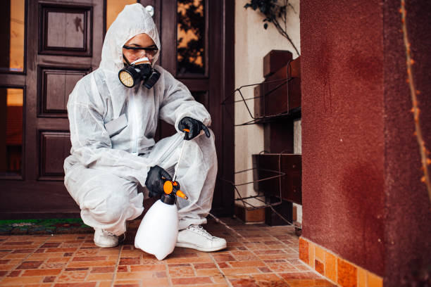 Reliable Mosquito Control contractor in Dublin, PA by Show Me Pest Control